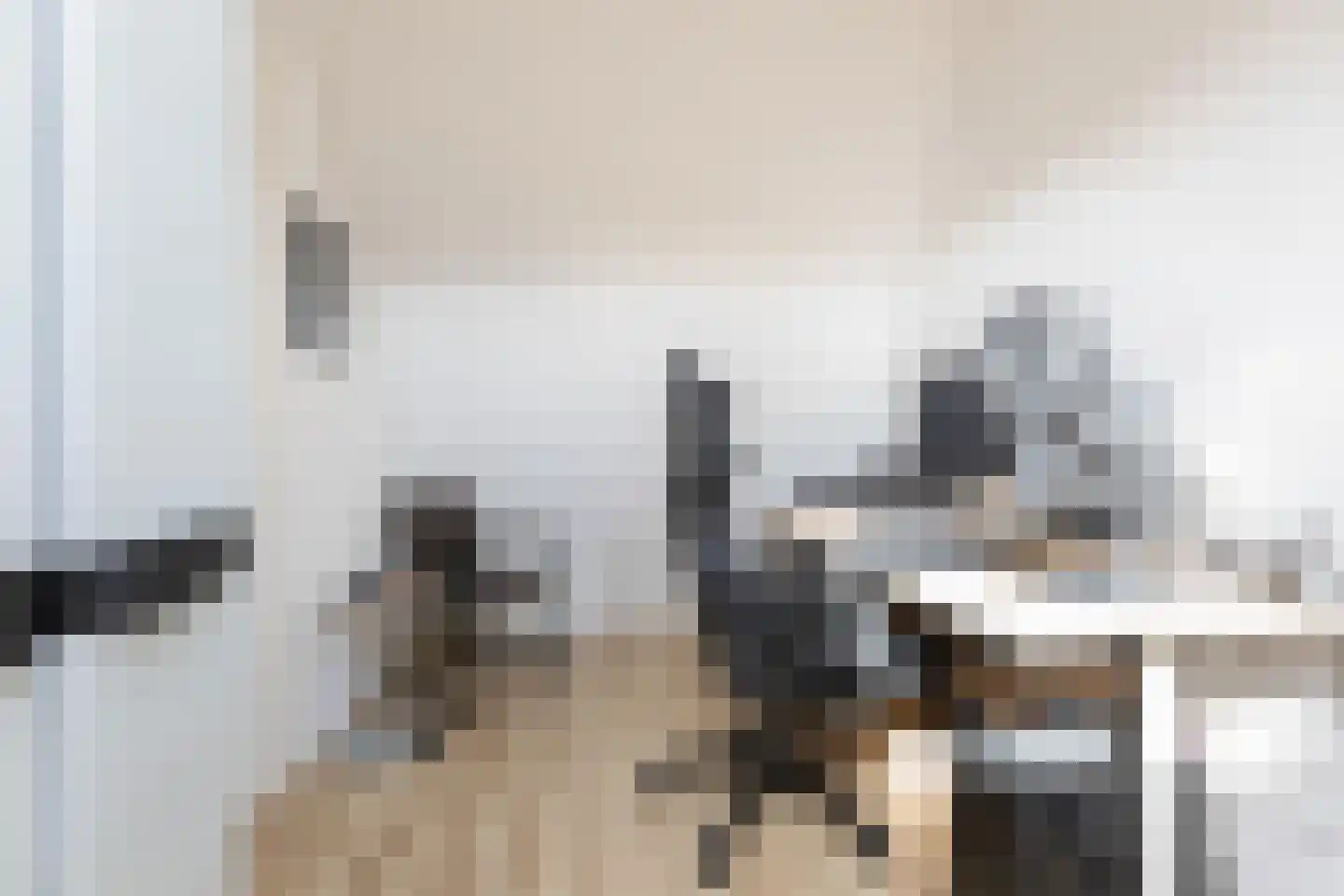 Zandoogje 8 Sneek thumbnail 29