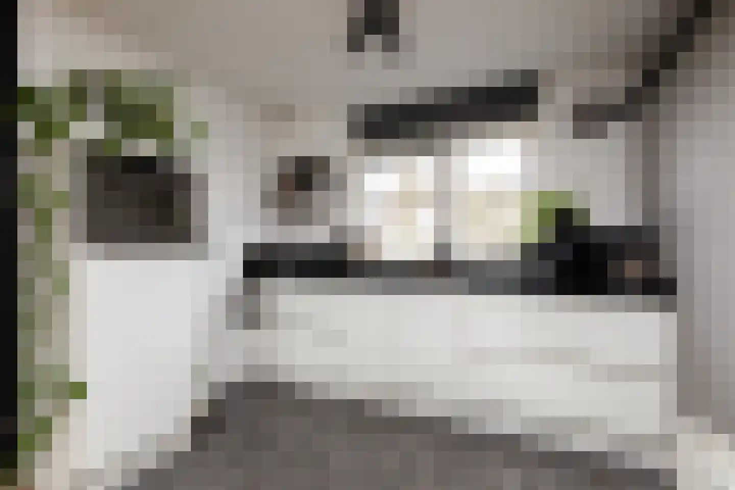 Zandoogje 8 Sneek foto 3