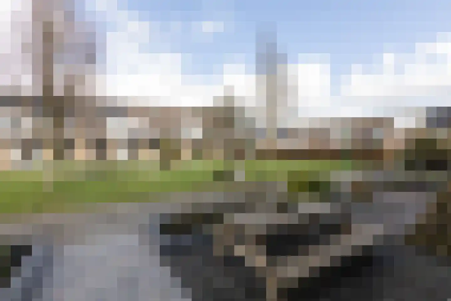 Zandoogje 8 Sneek thumbnail 30
