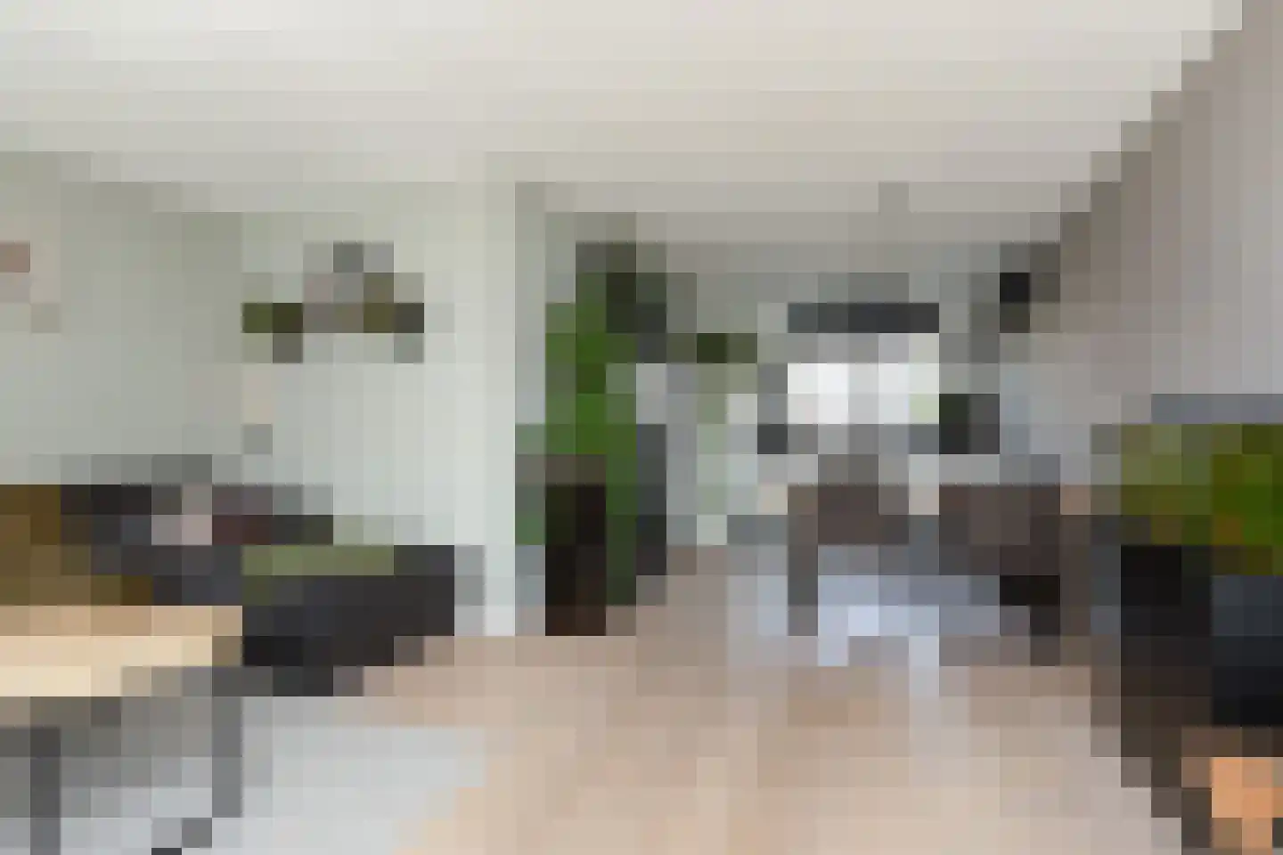 Zandoogje 8 Sneek thumbnail 6
