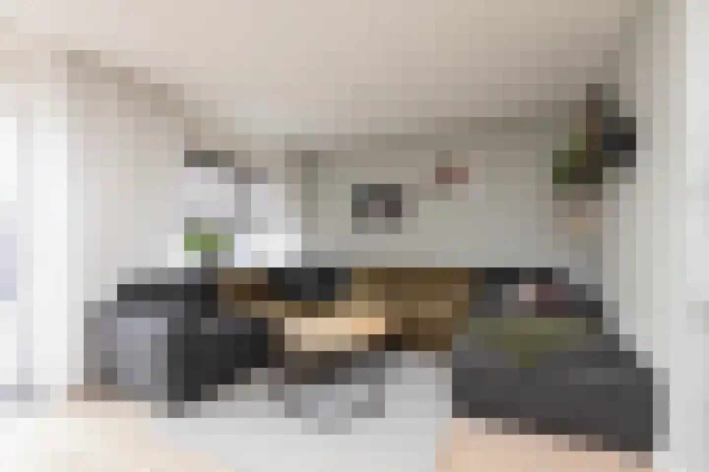 Zandoogje 8 Sneek thumbnail 8