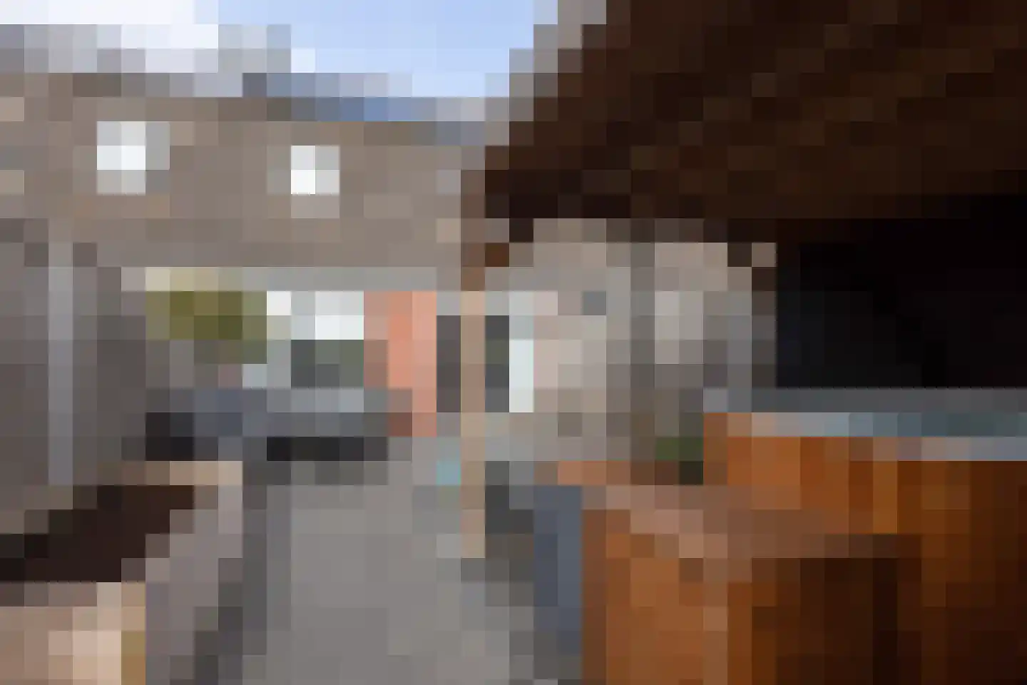Zandoogje 8 Sneek thumbnail 9