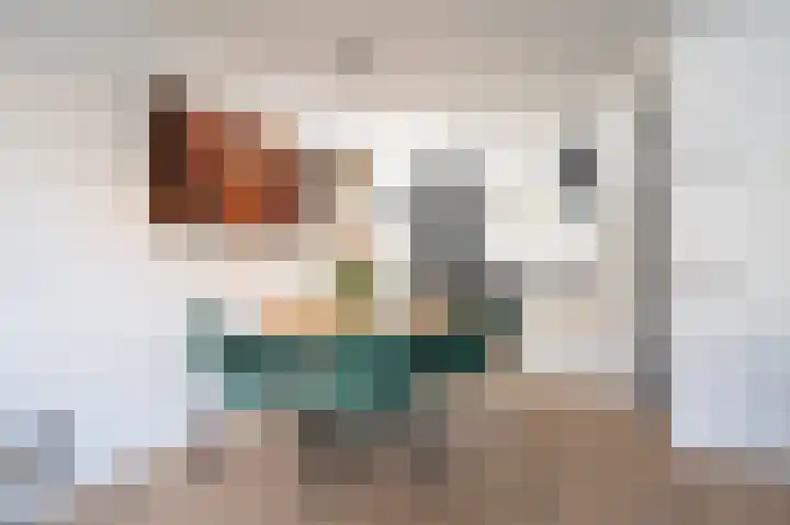 Zandoogjes 40 Breda thumbnail 11