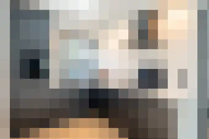 Zandoogjes 40 Breda thumbnail 12