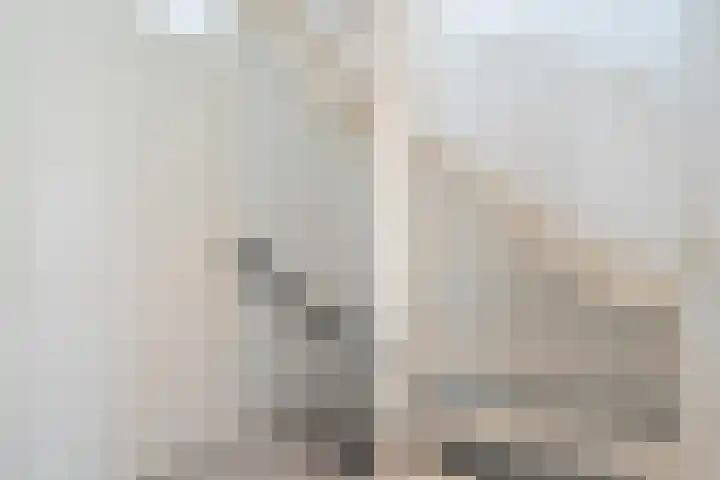 Zandoogjes 40 Breda thumbnail 13