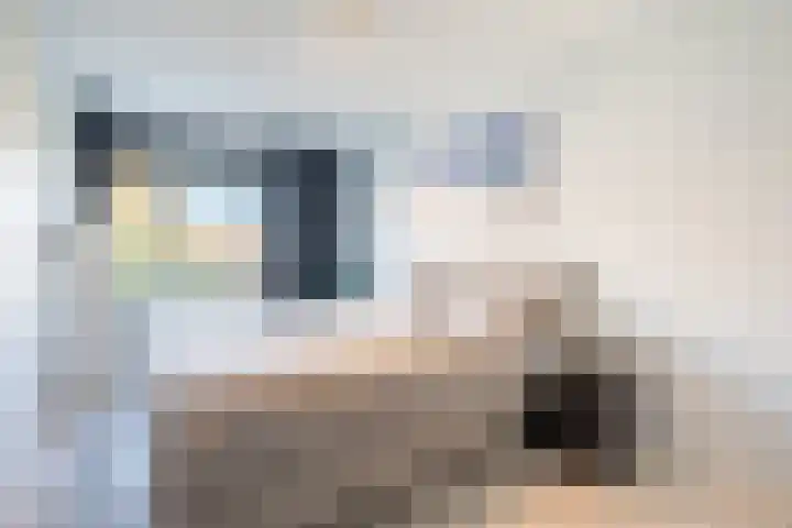 Zandoogjes 40 Breda thumbnail 14