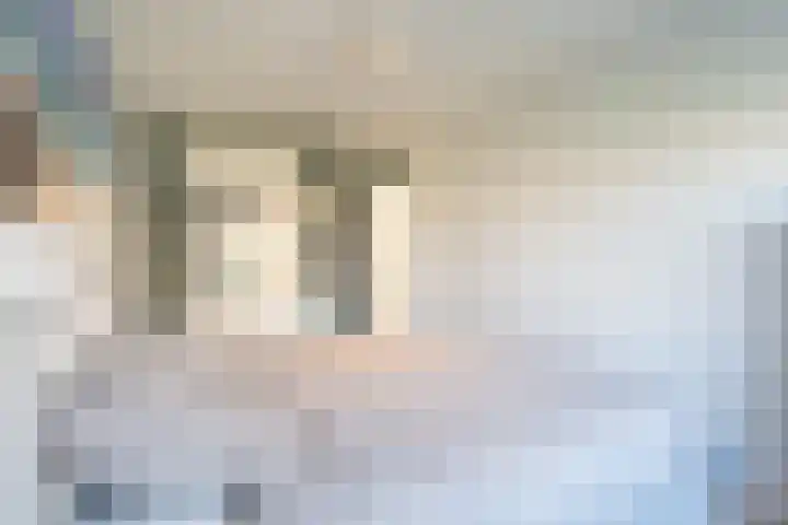 Zandoogjes 40 Breda thumbnail 15