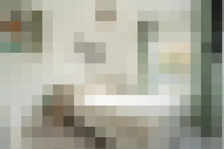 Zandoogjes 40 Breda thumbnail 18