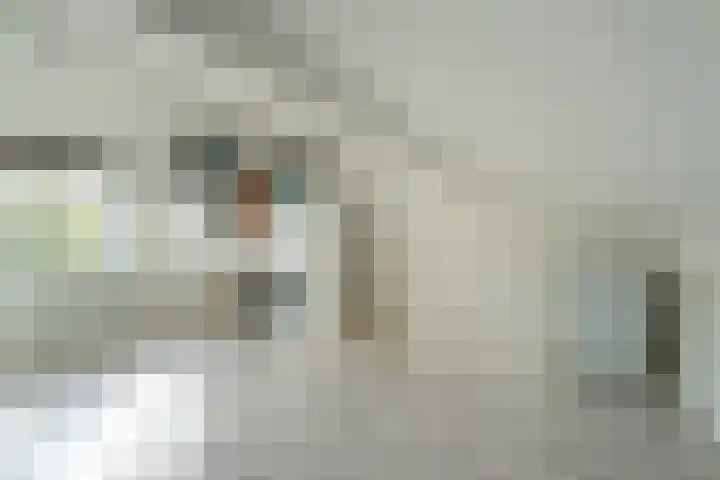 Zandoogjes 40 Breda thumbnail 22
