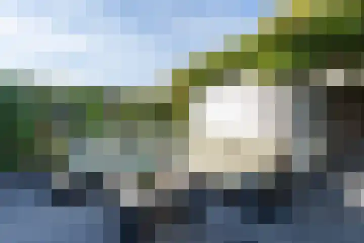 Zandoogjes 40 Breda thumbnail 23