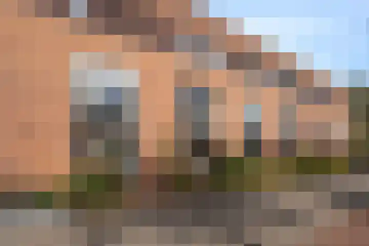 Zandoogjes 40 Breda thumbnail 25