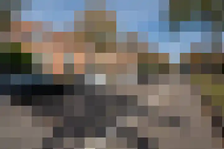 Zandoogjes 40 Breda thumbnail 27