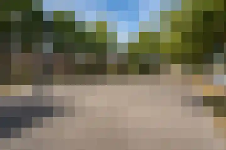 Zandoogjes 40 Breda thumbnail 28