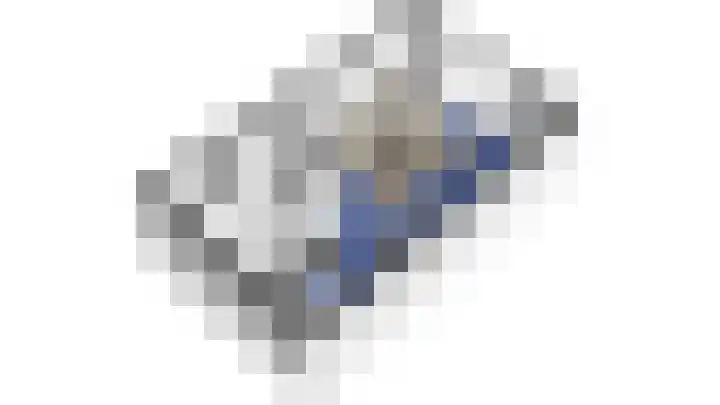 Zandoogjes 40 Breda thumbnail 32