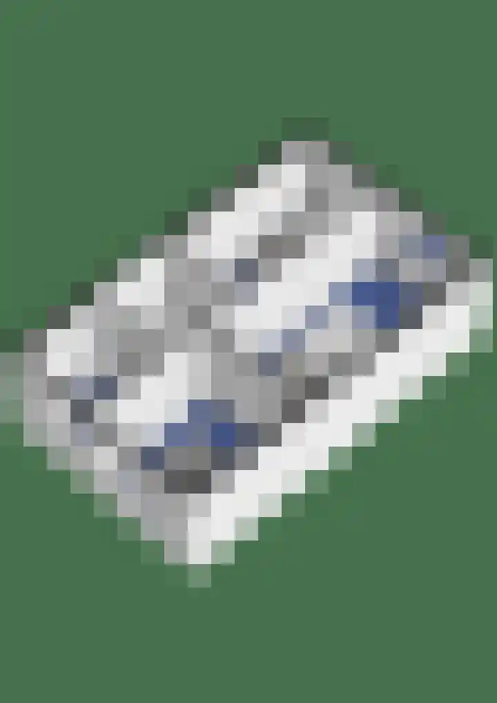 Zandoogjes 40 Breda thumbnail 34