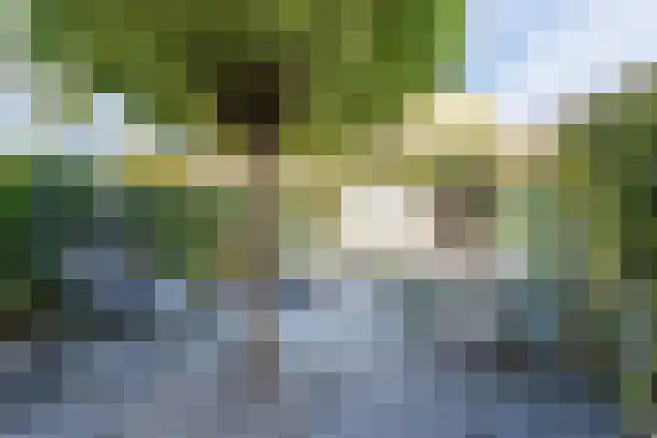 Zandoogjes 40 Breda thumbnail 4