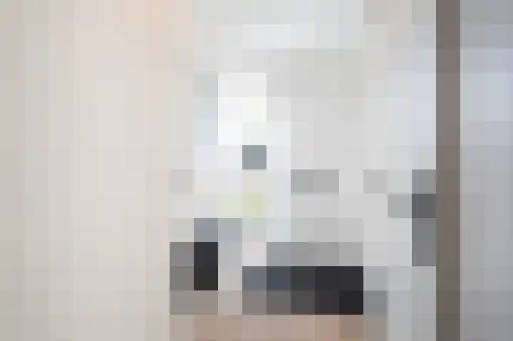Zandoogjes 40 Breda thumbnail 5