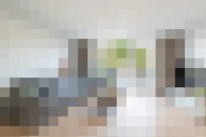 Zandoogjes 40 Breda thumbnail 8
