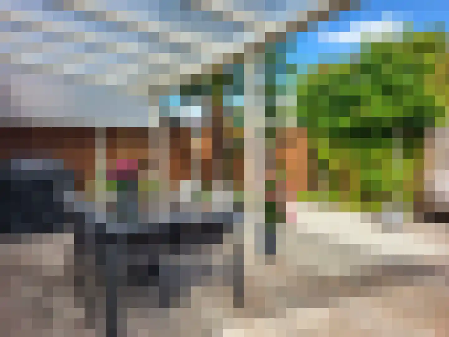 Zandoogjestraat 10 Aalsmeer thumbnail 11