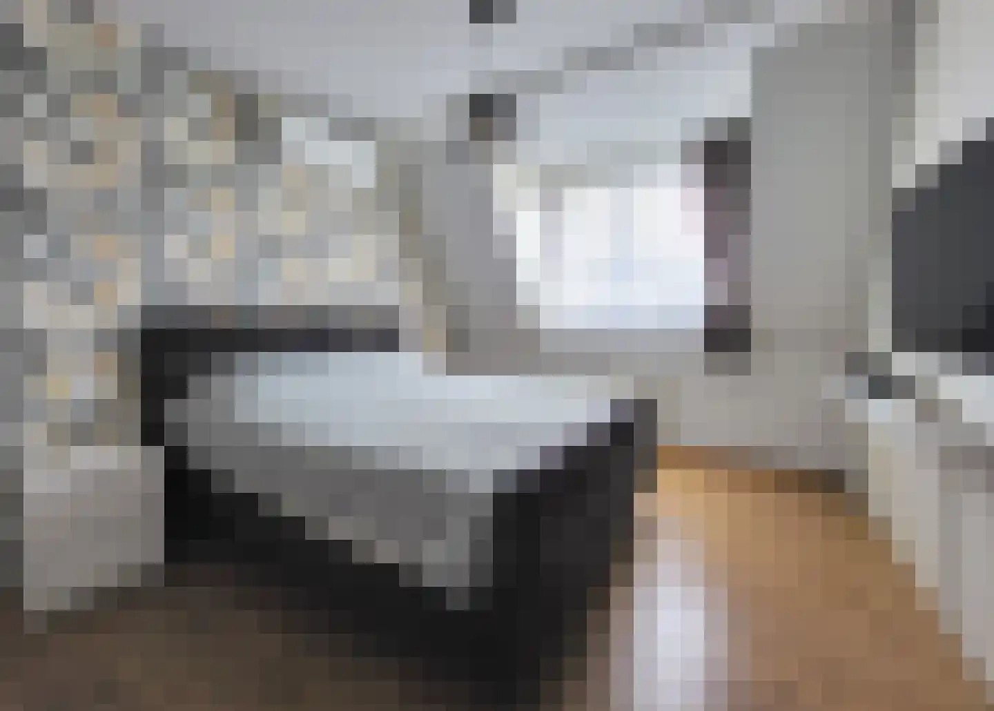 Zandoogjestraat 10 Aalsmeer thumbnail 19