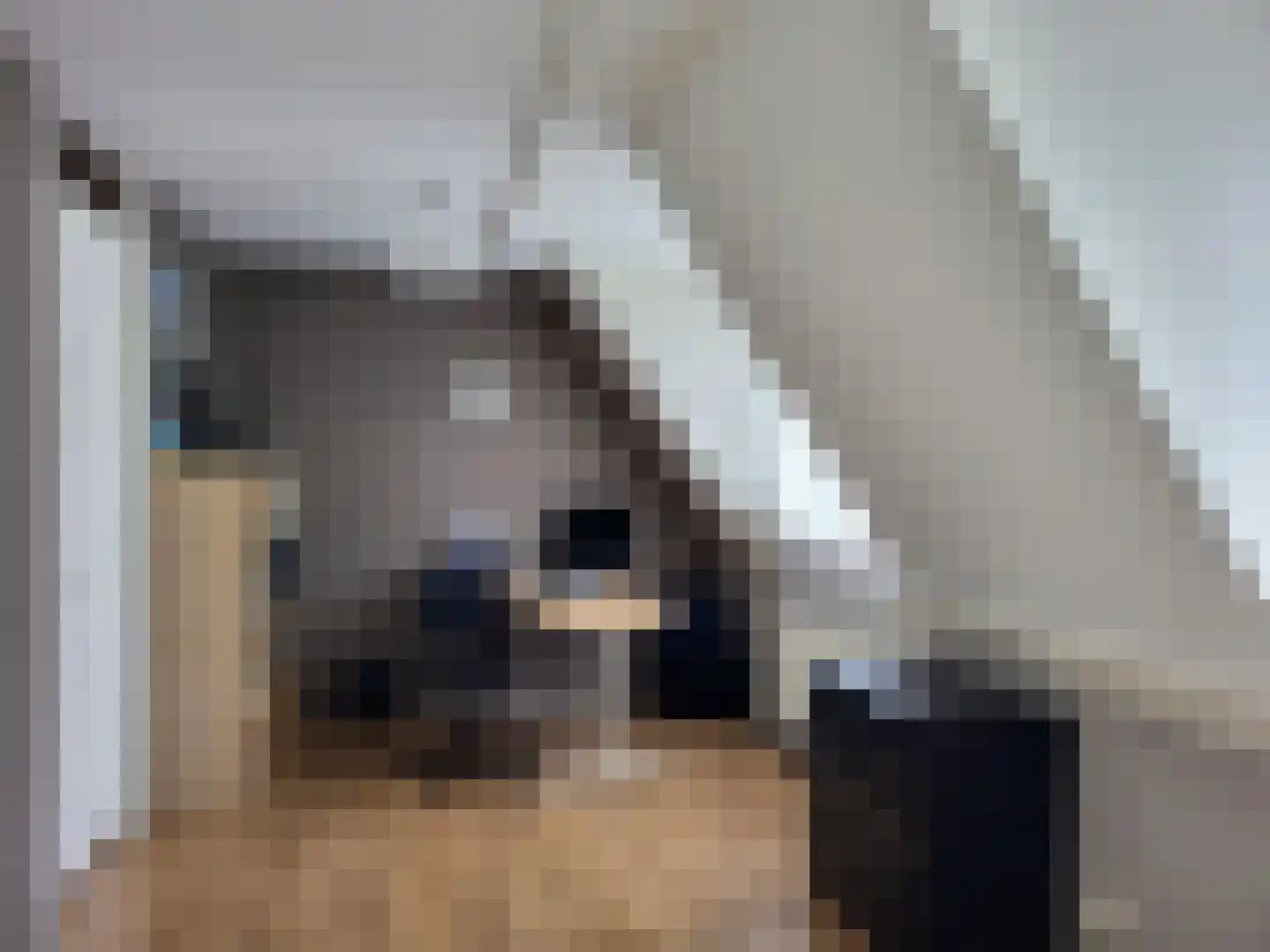 Zandoogjestraat 10 Aalsmeer thumbnail 21