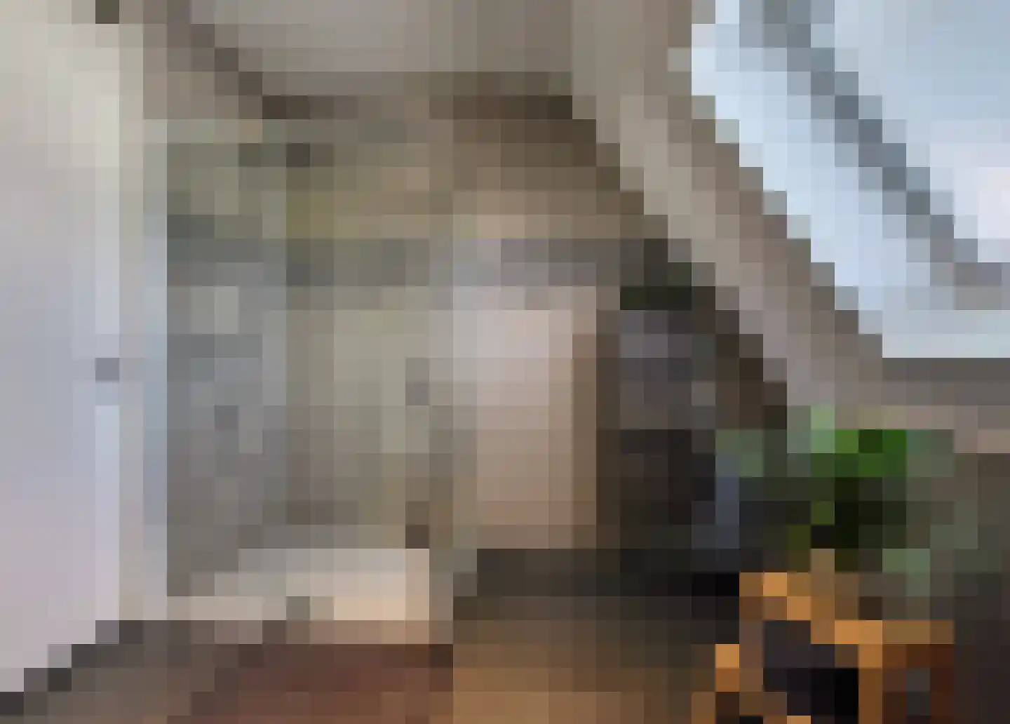 Zandoogjestraat 10 Aalsmeer thumbnail 23