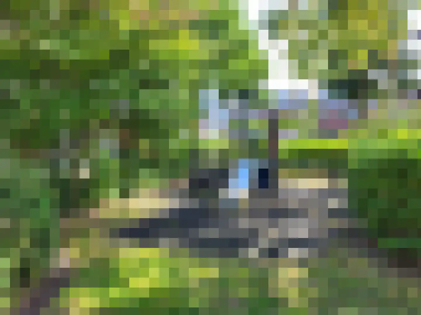 Zandoogjestraat 10 Aalsmeer thumbnail 31