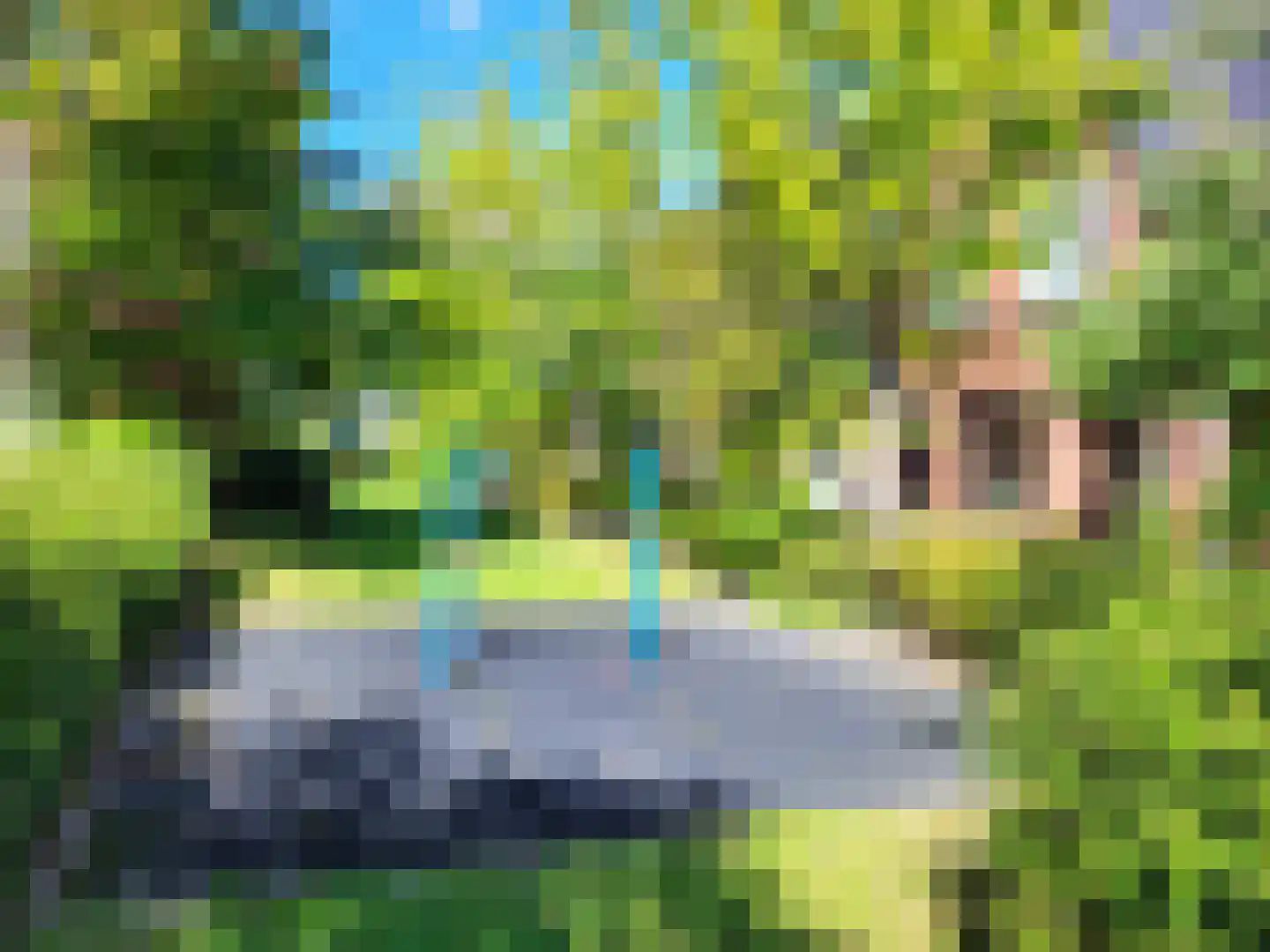 Zandoogjestraat 10 Aalsmeer thumbnail 32