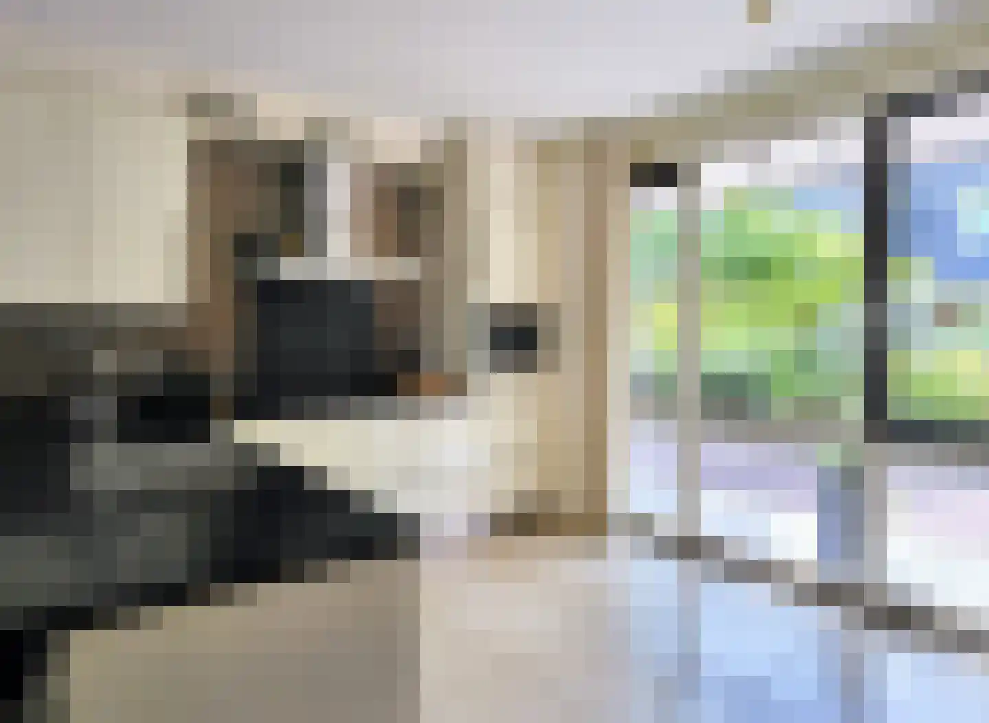 Zandoogjestraat 10 Aalsmeer thumbnail 8