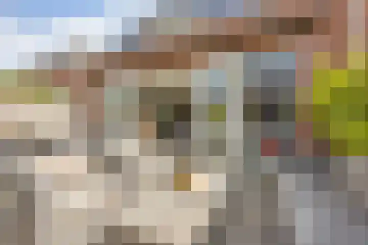 Zandoogjestraat 9 Aalsmeer thumbnail 17