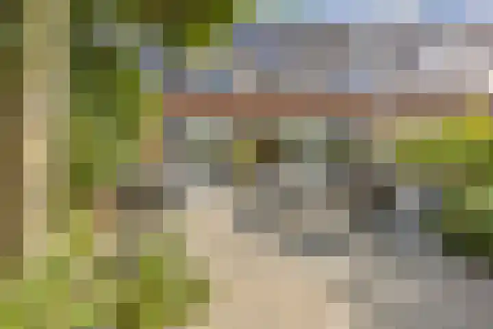 Zandoogjestraat 9 Aalsmeer thumbnail 20