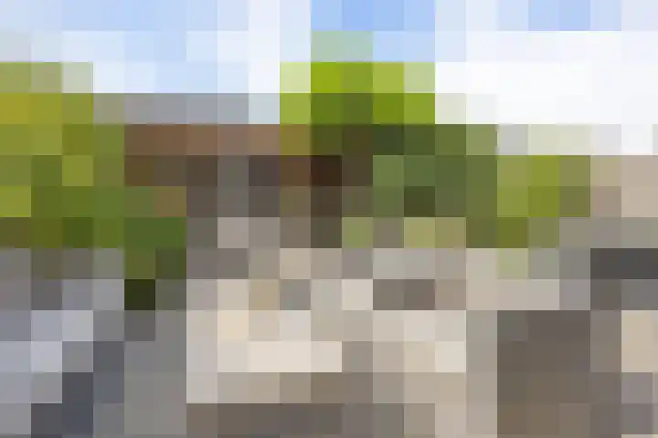 Zandoogjestraat 9 Aalsmeer thumbnail 21