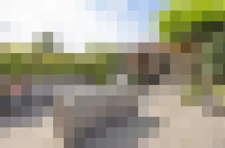Zandoogjestraat 9 Aalsmeer thumbnail 22