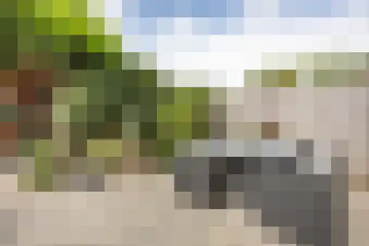 Zandoogjestraat 9 Aalsmeer thumbnail 24