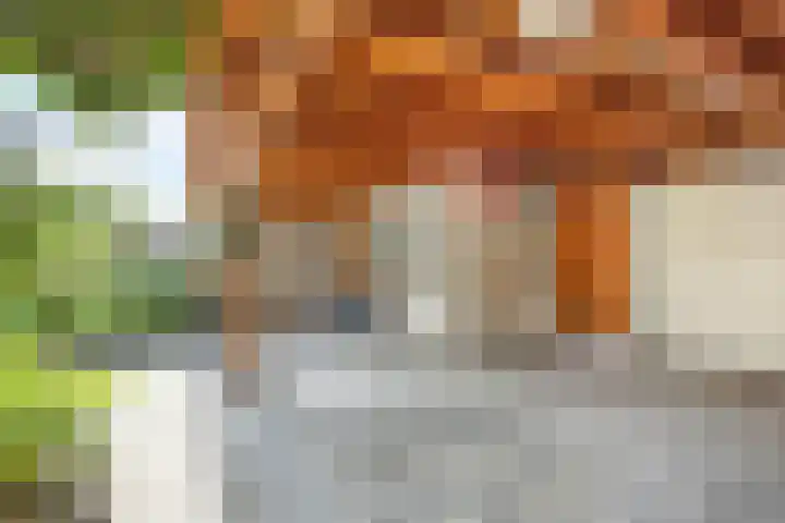Zandoogjestraat 9 Aalsmeer thumbnail 27