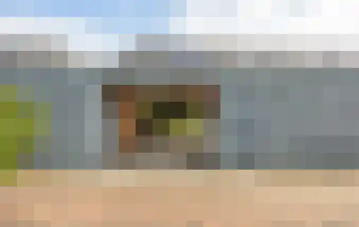 Zandoogjestraat 9 Aalsmeer thumbnail 30