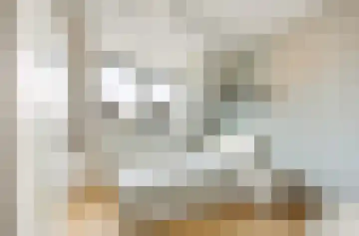 Zandoogjestraat 9 Aalsmeer thumbnail 32