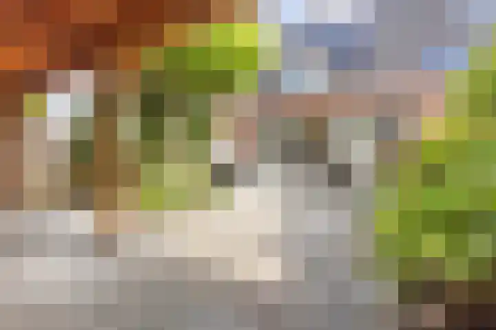 Zandoogjestraat 9 Aalsmeer thumbnail 4