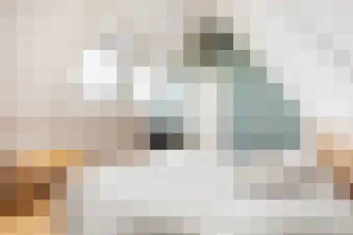 Zandoogjestraat 9 Aalsmeer thumbnail 43
