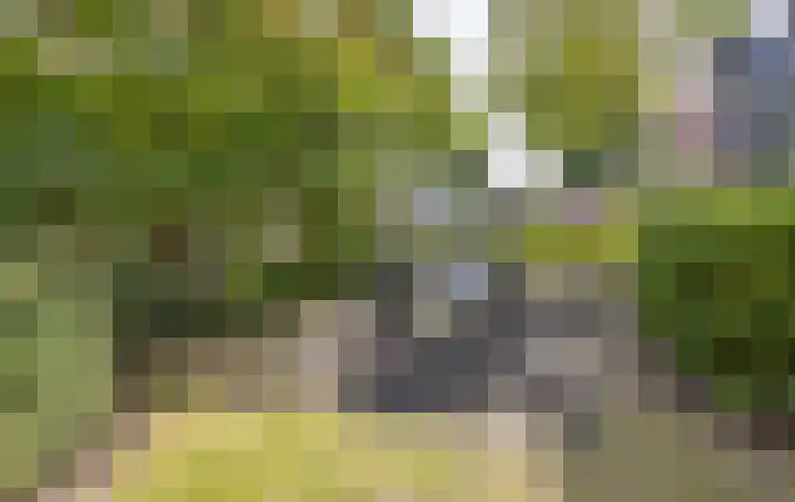 Zandoogjestraat 9 Aalsmeer thumbnail 45