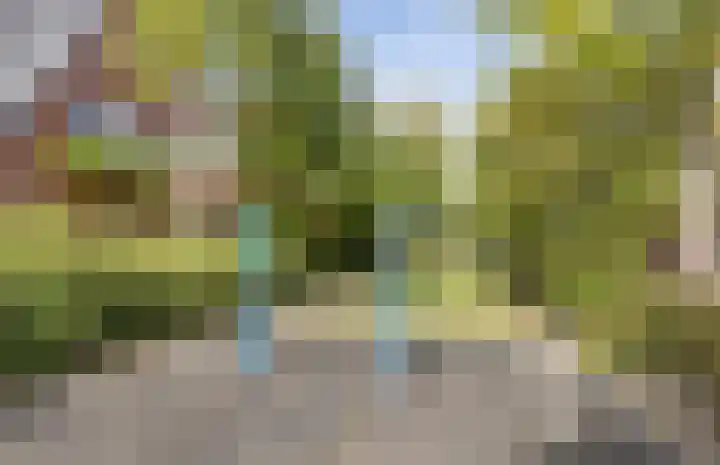 Zandoogjestraat 9 Aalsmeer thumbnail 46