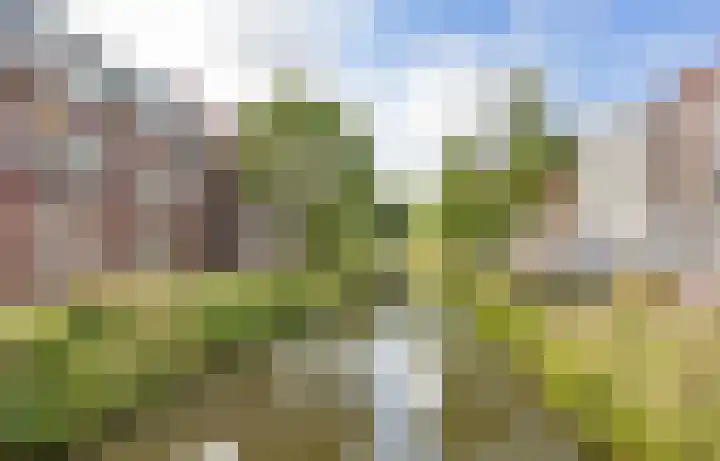 Zandoogjestraat 9 Aalsmeer thumbnail 47