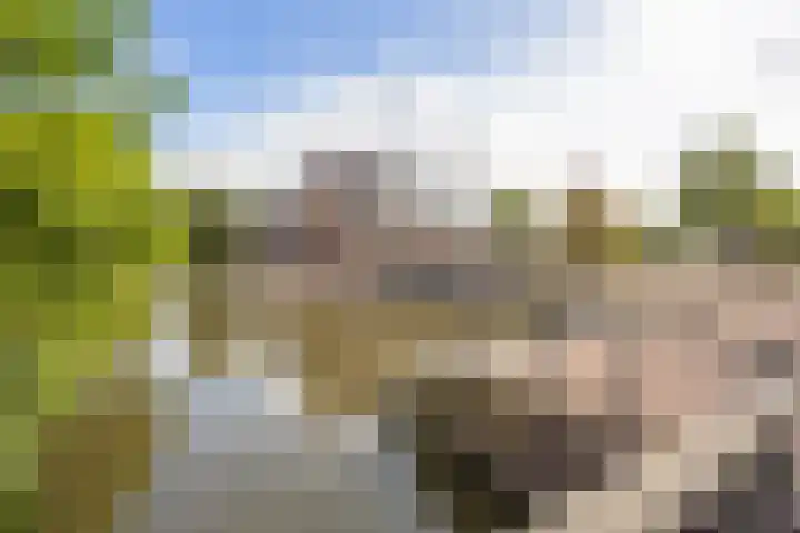 Zandoogjestraat 9 Aalsmeer thumbnail 48