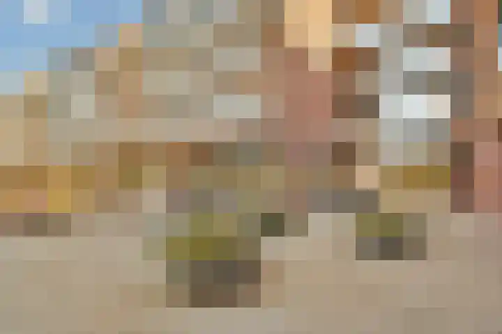 Zandoogjestraat 9 Aalsmeer thumbnail 51