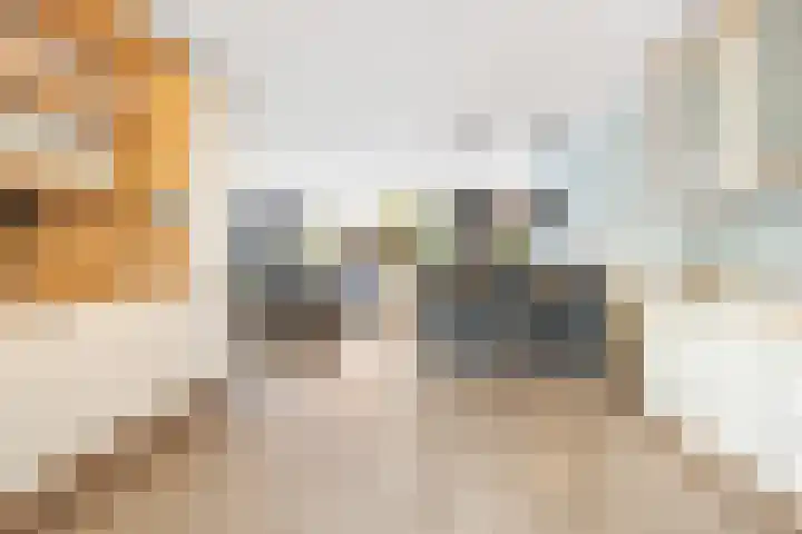 Zandoogjestraat 9 Aalsmeer thumbnail 6
