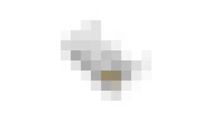 Zandoogjestraat 9 Aalsmeer thumbnail 66