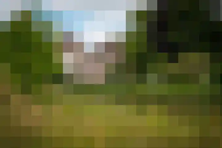 Zandpad 1 a Cothen thumbnail 37