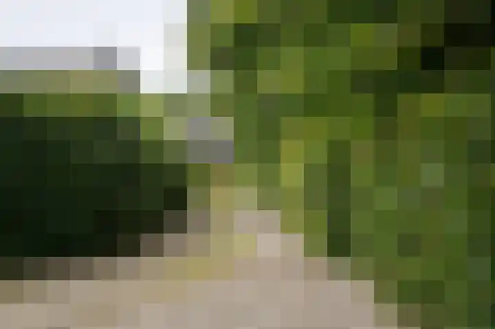 Zandpad 1 a Cothen thumbnail 40