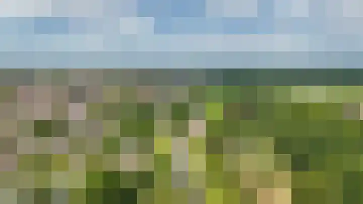 Zandpad 1 a Cothen thumbnail 44