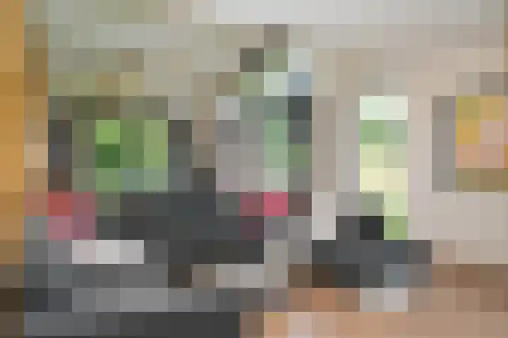 Zandpad 1 a Cothen thumbnail 7